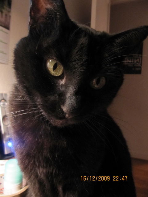 2009-12-25 Noel_l.jpg